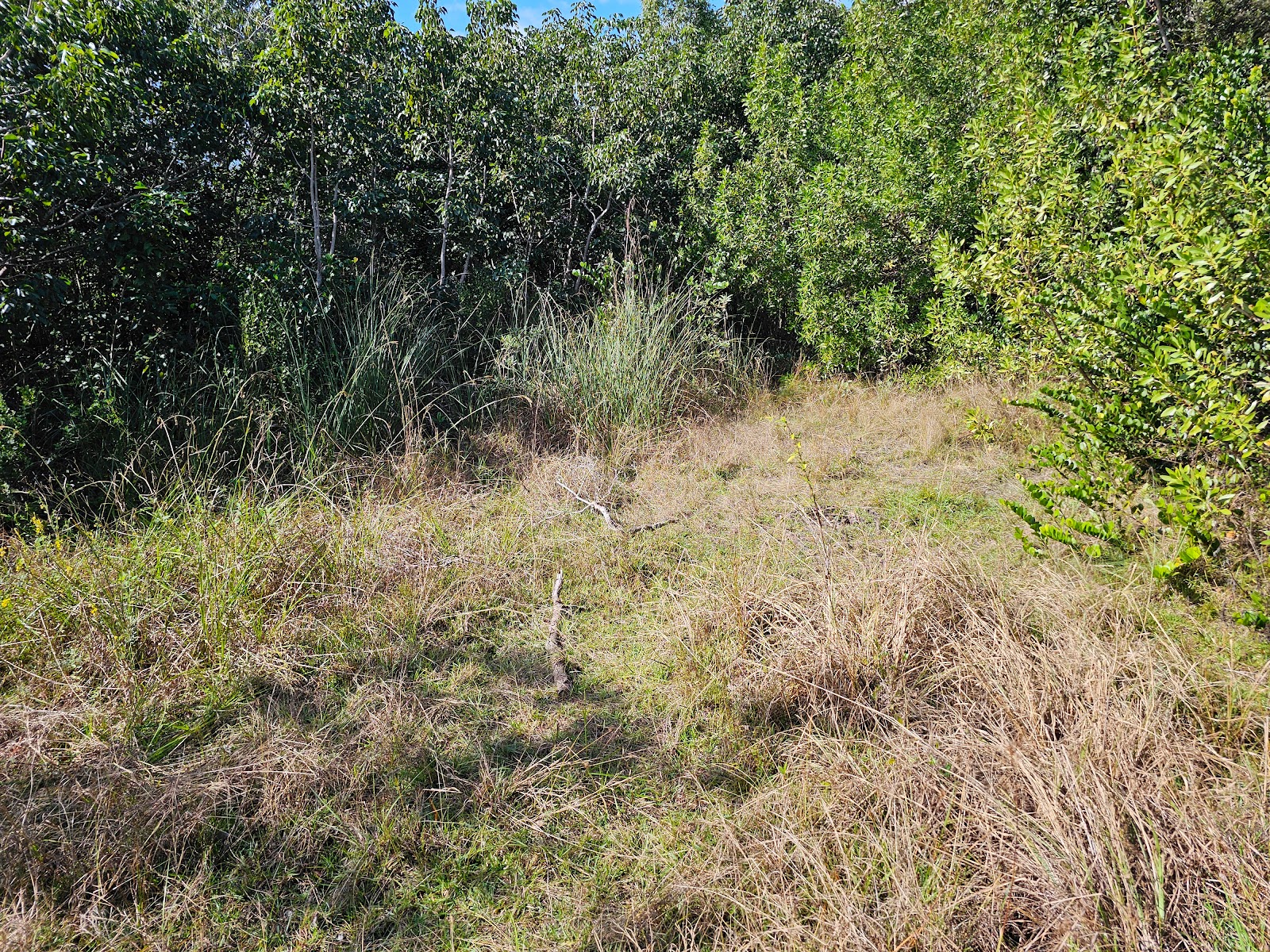 Backcountry Old Ingraham - Everglades National Park