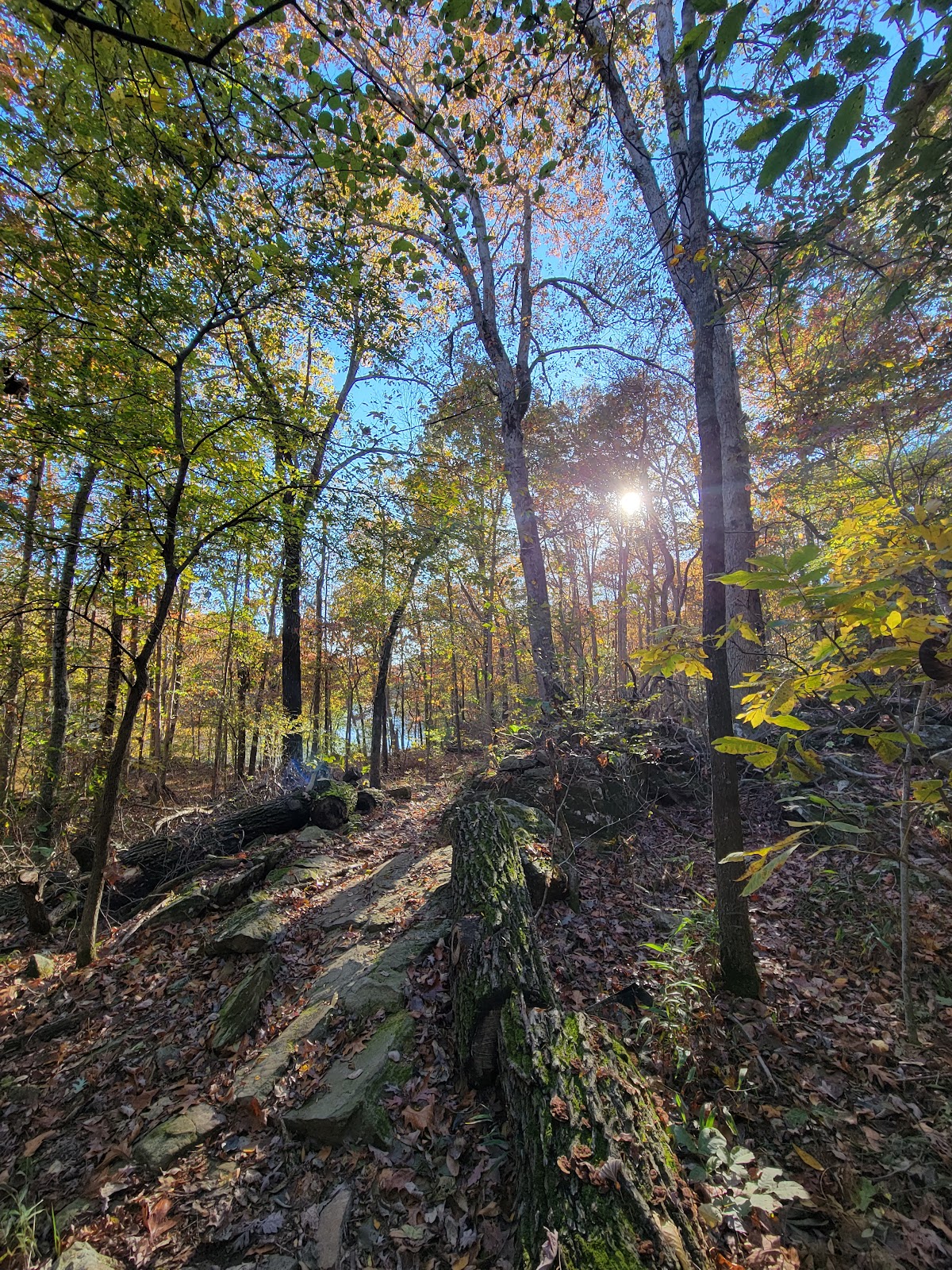 Lincoln Lake City Park