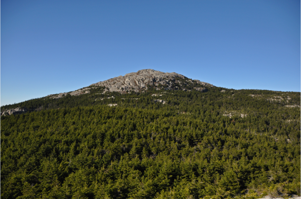Monadnock State Park