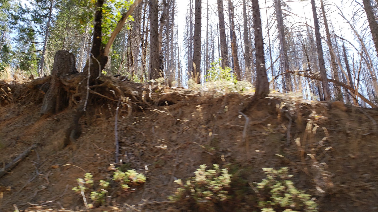 Granite Creek Campground