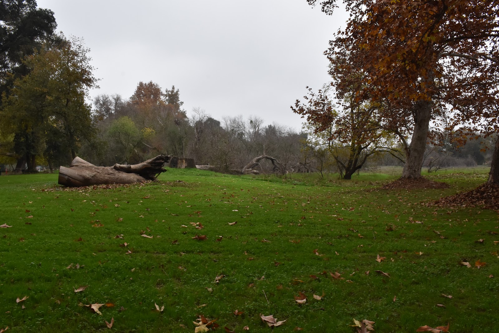 McConnell State Rec. Area