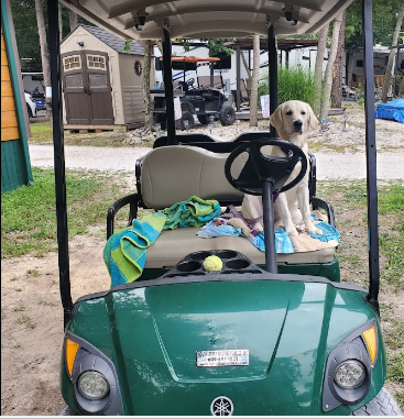 Pine Haven Camping Resort