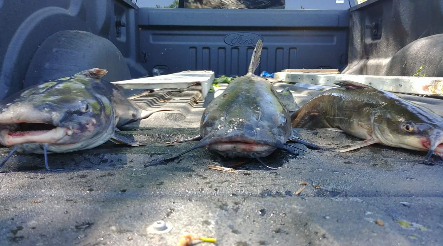 The Edge of the River Resort