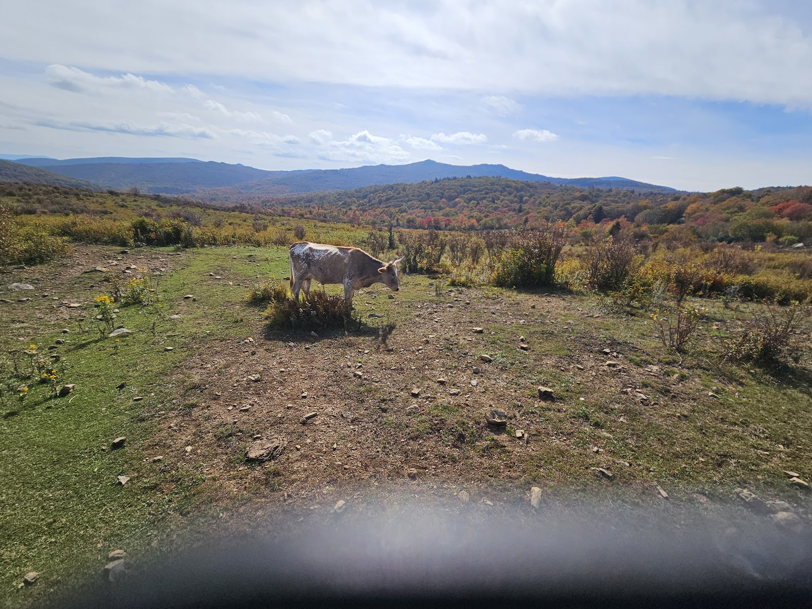 Fox Creek Horse Campground