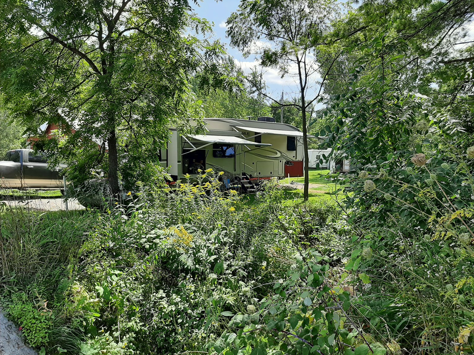 Pine Bluff Camp Sites