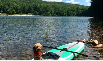 Mother Earth Organic Farm Camping