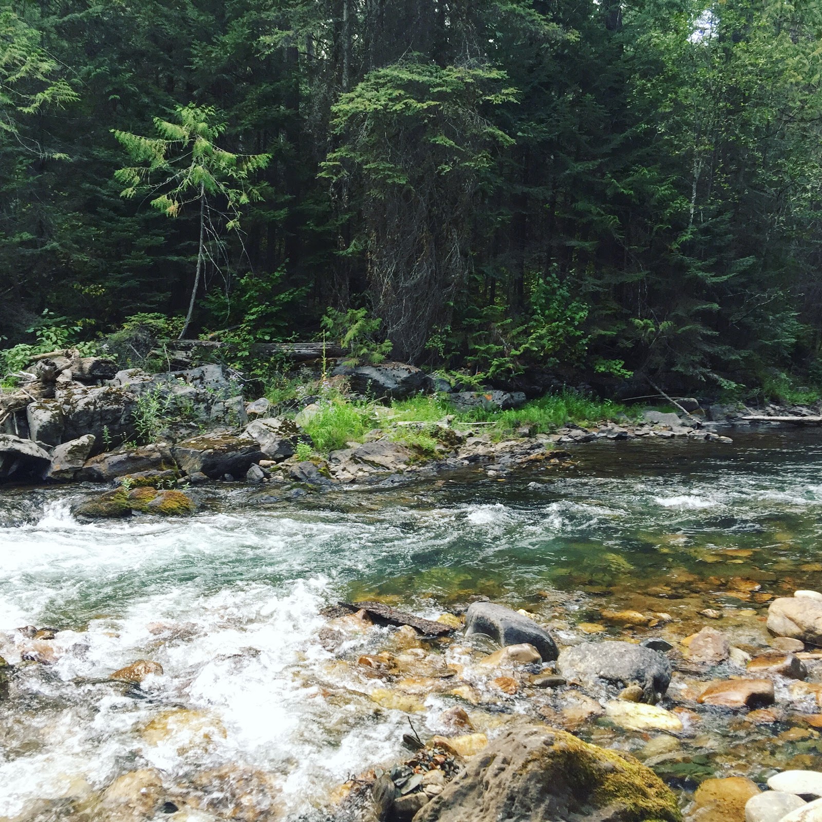 Sullivan Lake West Campground