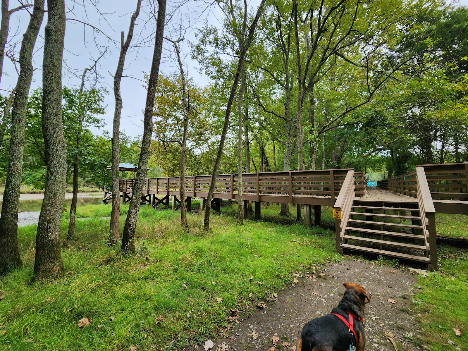 Bledsoe Creek State Park