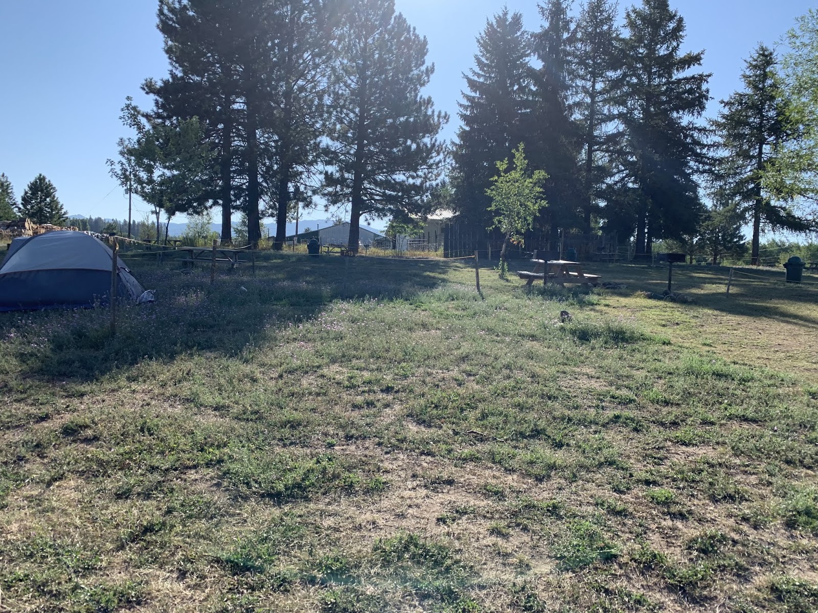 Black Bear RV Park (formerly McCall Campground & RV Park)