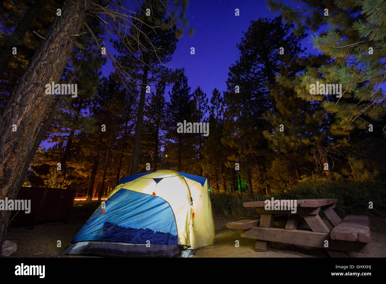 New Shady Rest Campground