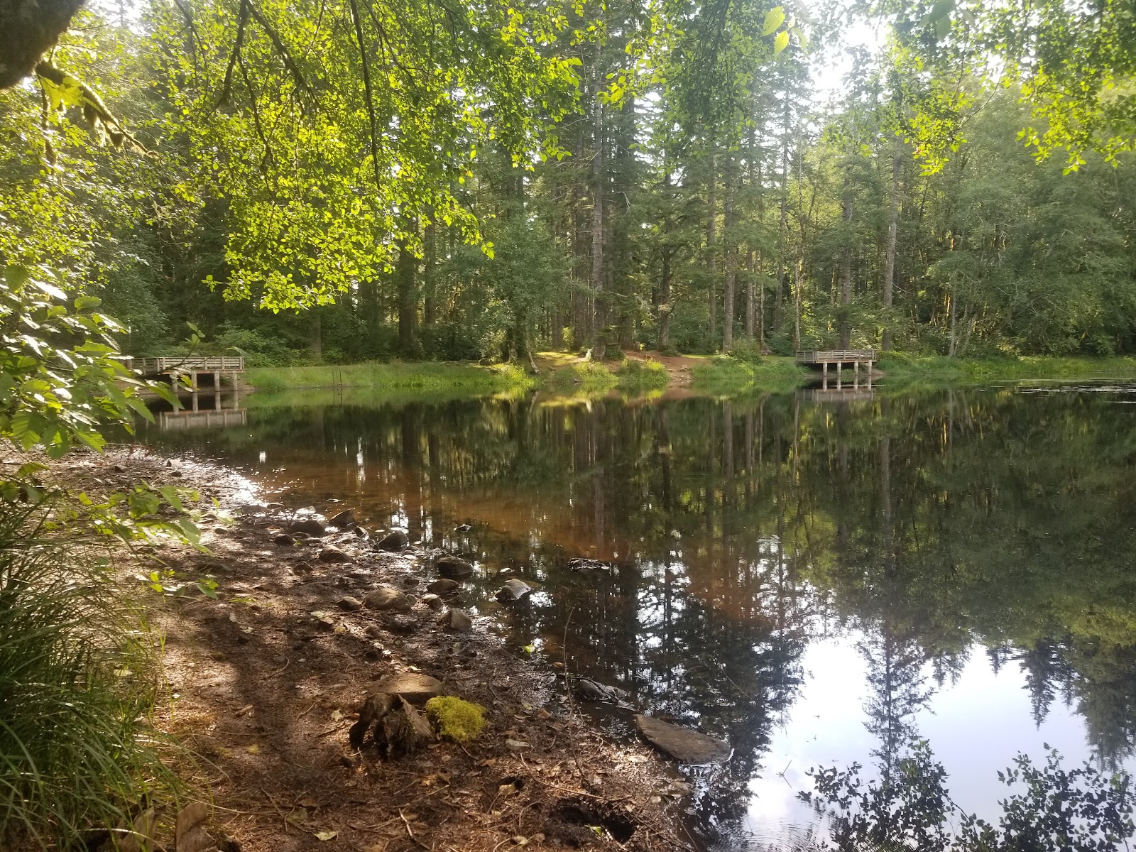 Hebo Lake Campground