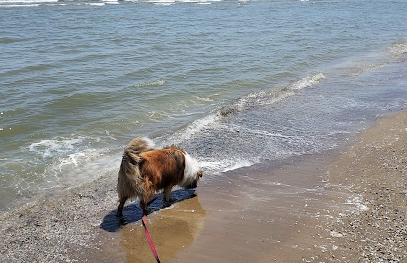 East Harbor State Park