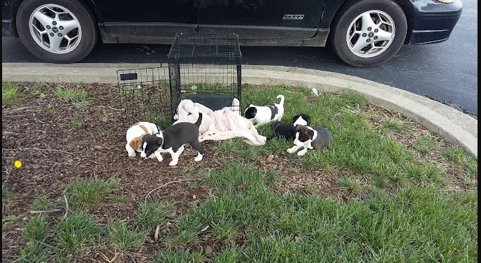 Old Mountain Campground