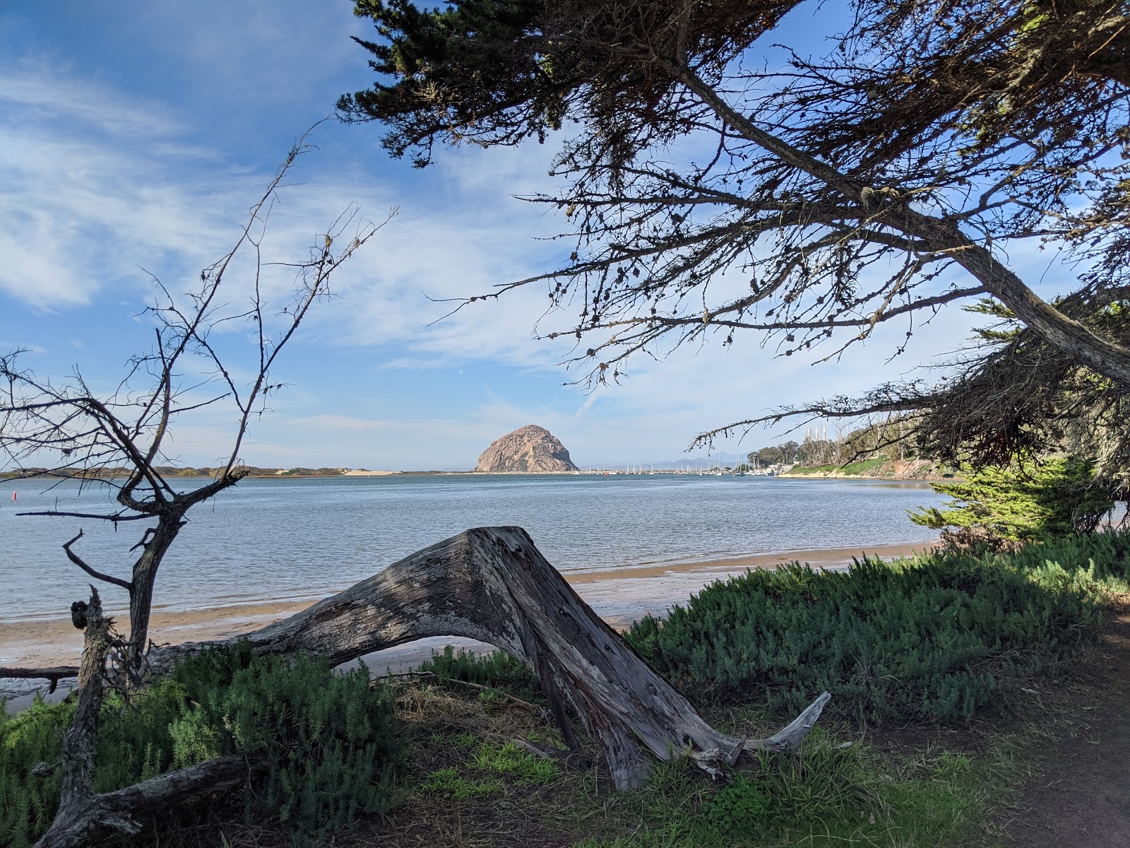 Morro Bay State Park