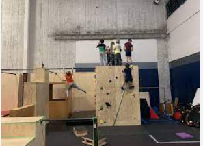 Edge Movement Parkour & Adaptability Training