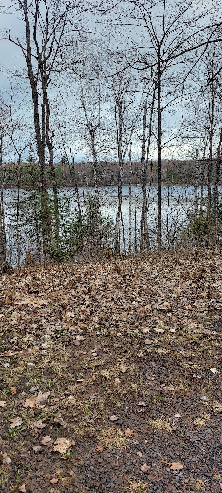 Courtney Lake Campground
