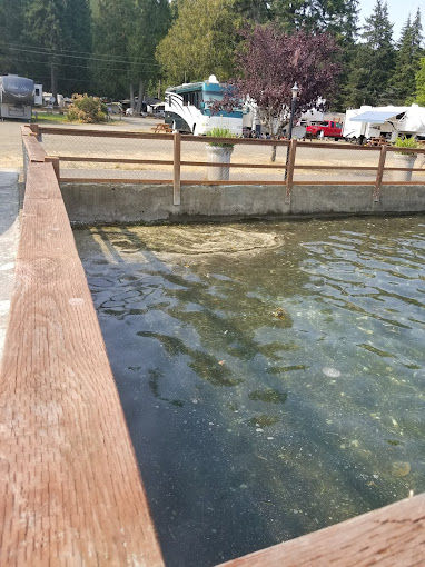 Rest-A-While RV Park and Marina