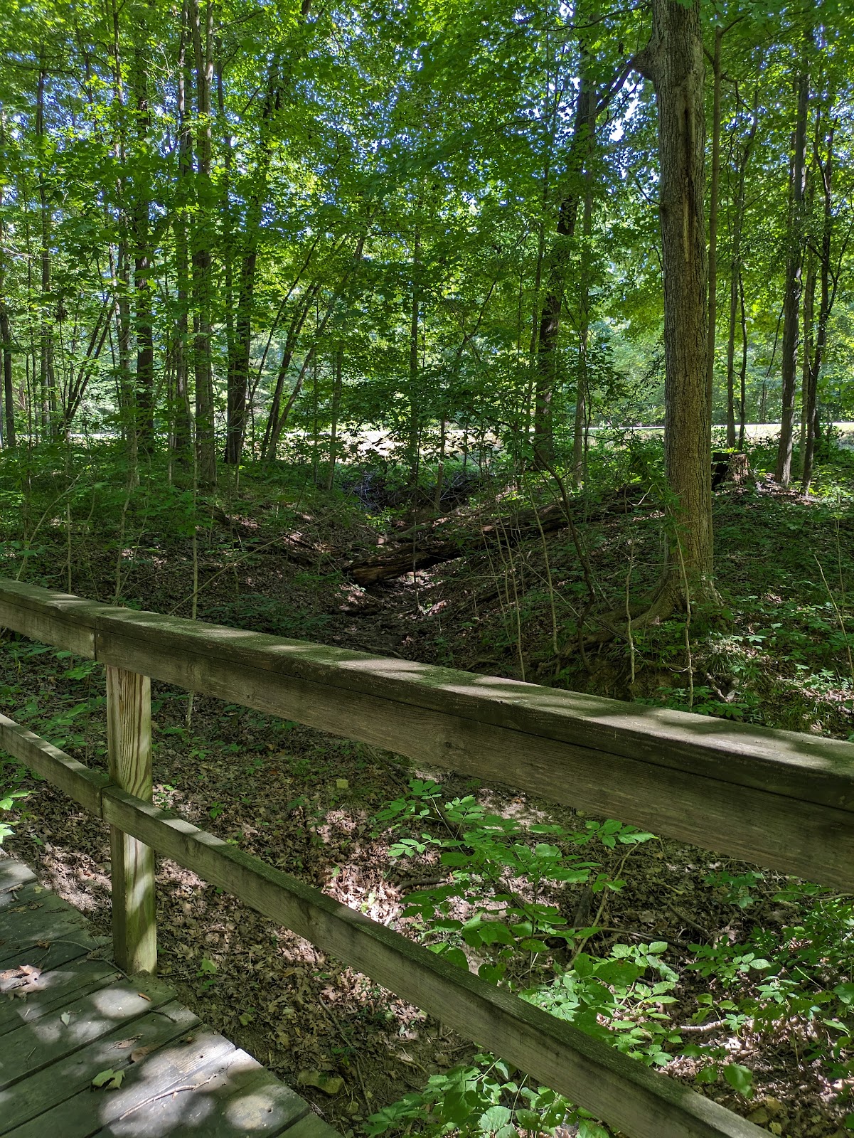 Lost Bridge State Recreation Area