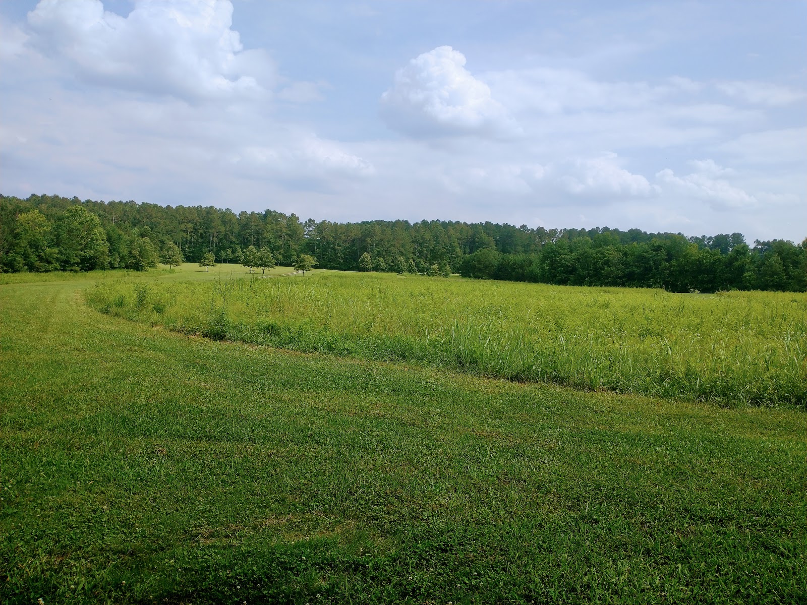 Allatoona Creek Park