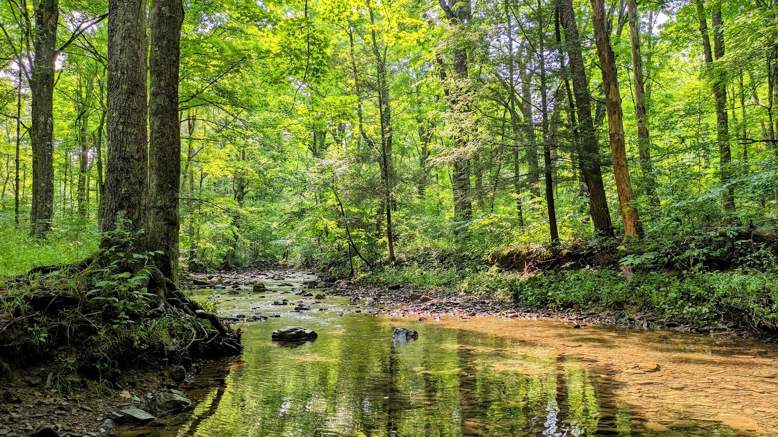 Highway 52 Campground