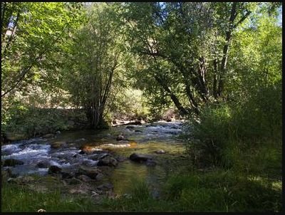 Mountain Top Getaways Camping