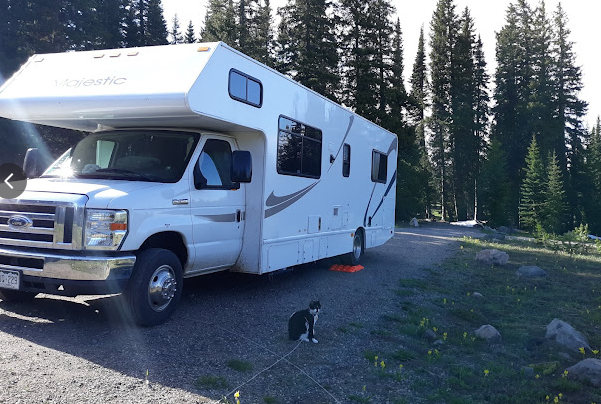 Dumont Lake Campground
