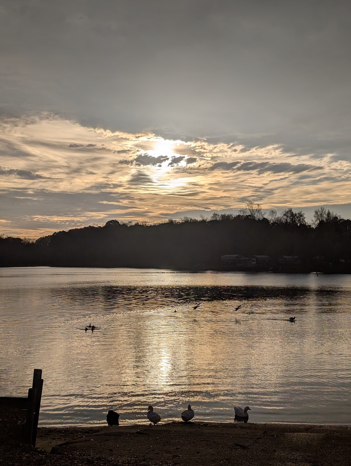 Tamarac Marina and Campground