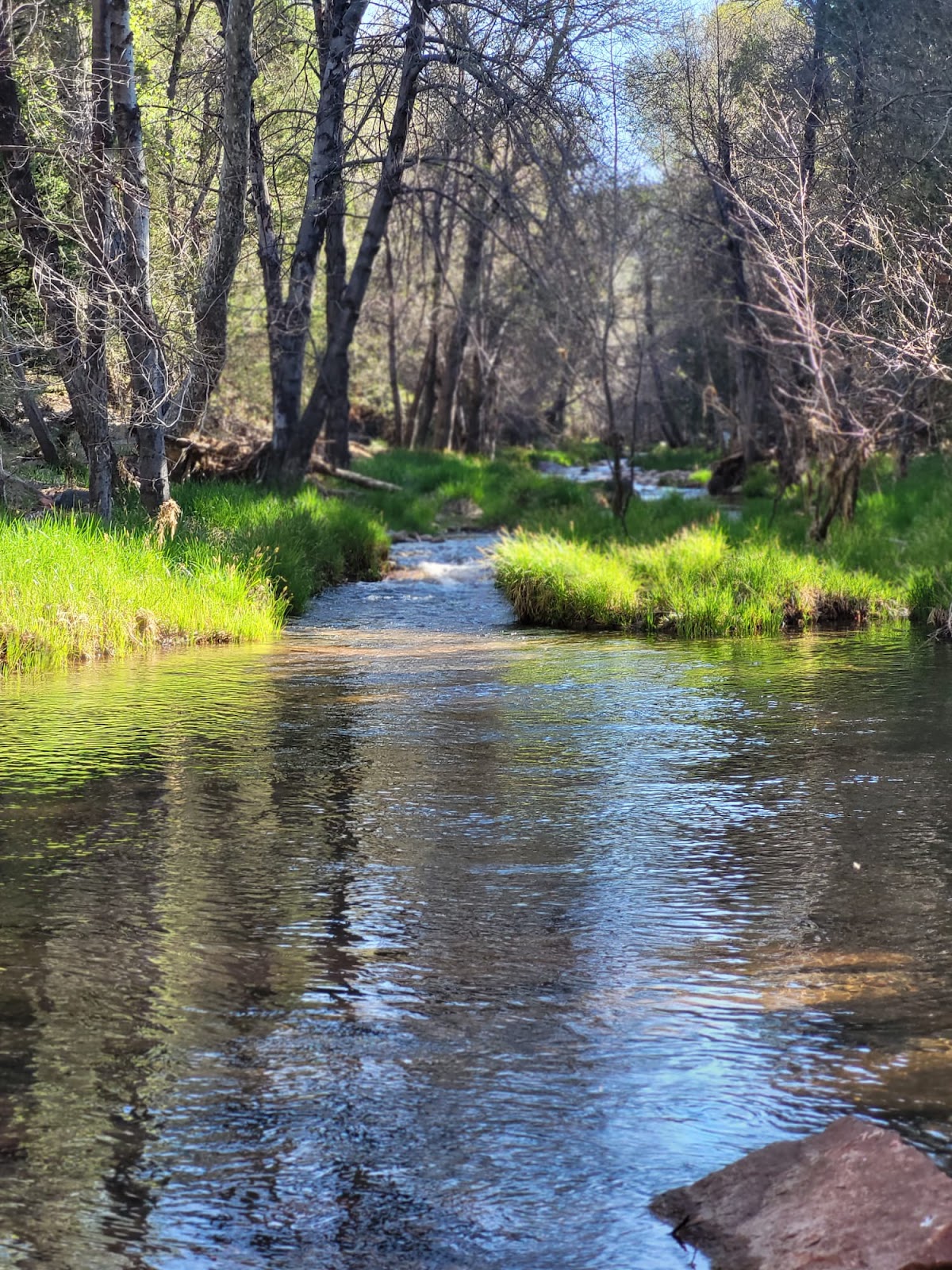 Haigler Canyon Campground