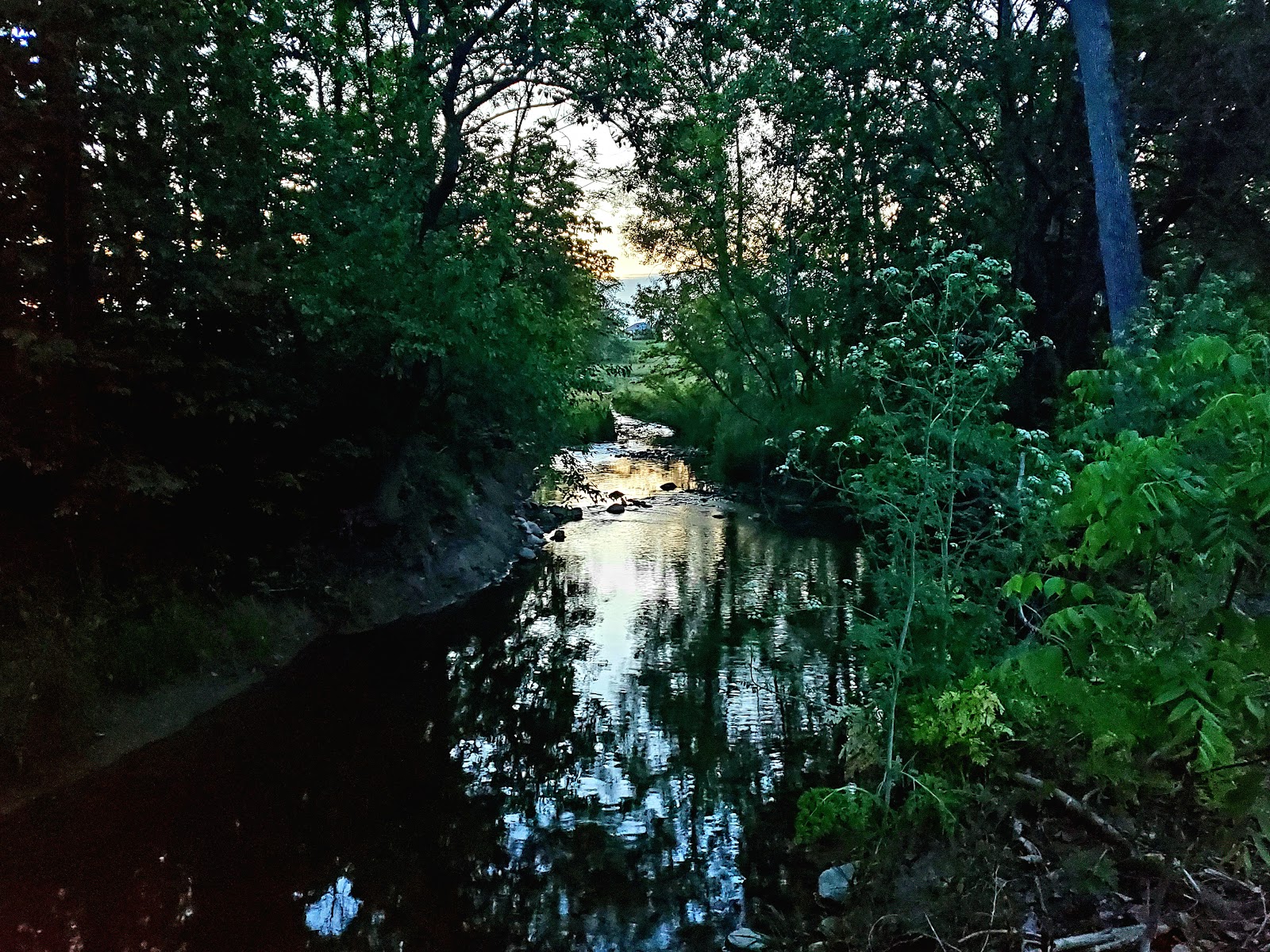 Thorntree MHP and Campground LLC