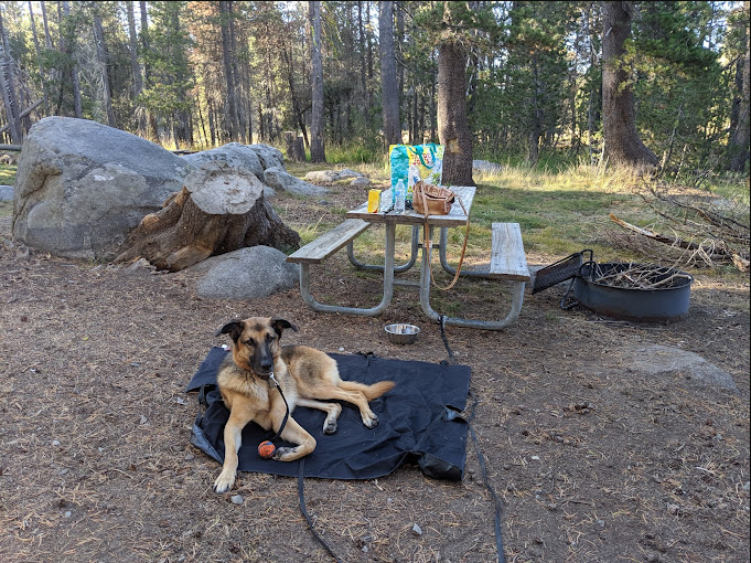 Bridalveil Creek Campground