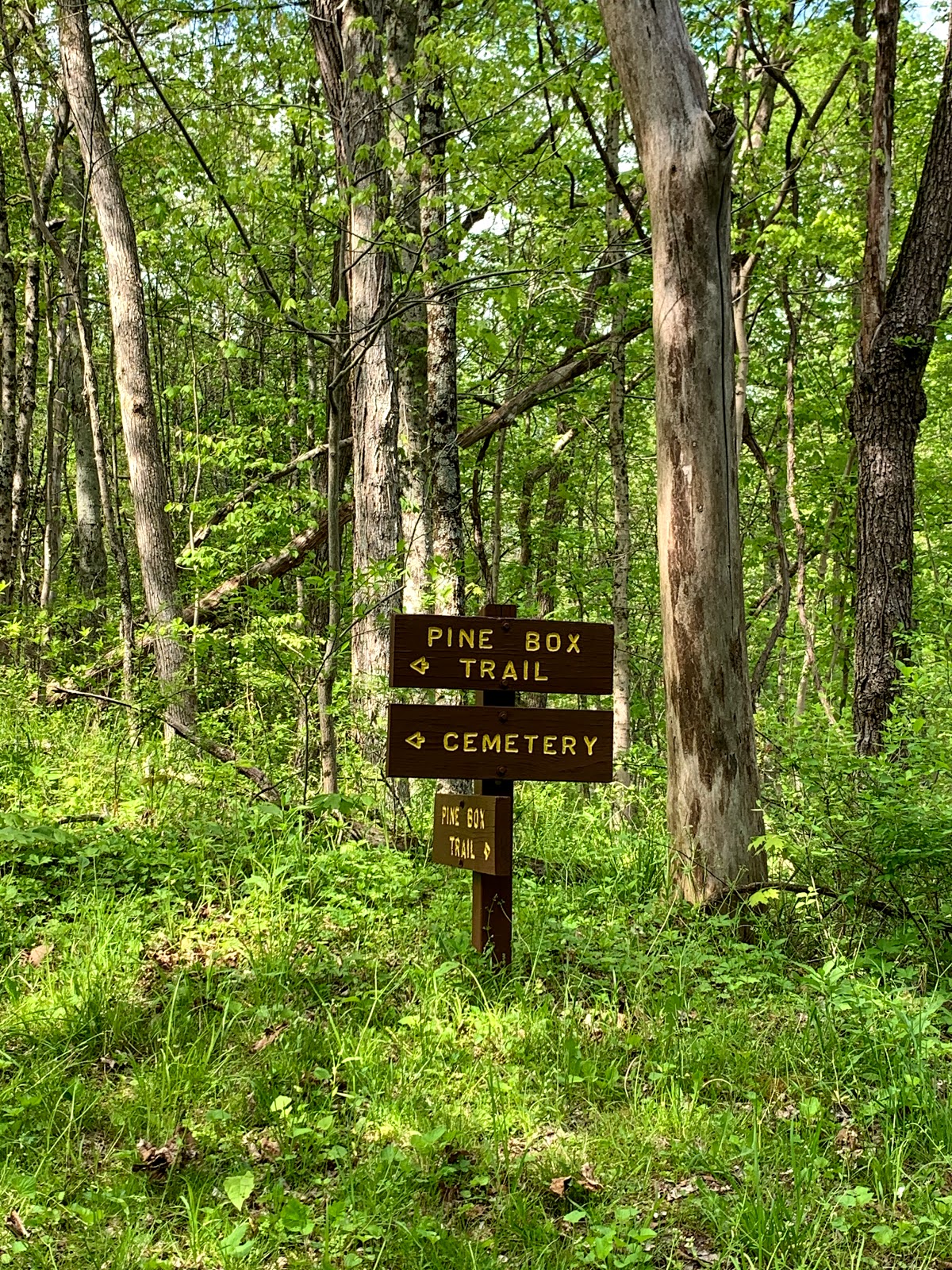 Ryerson Station State Park