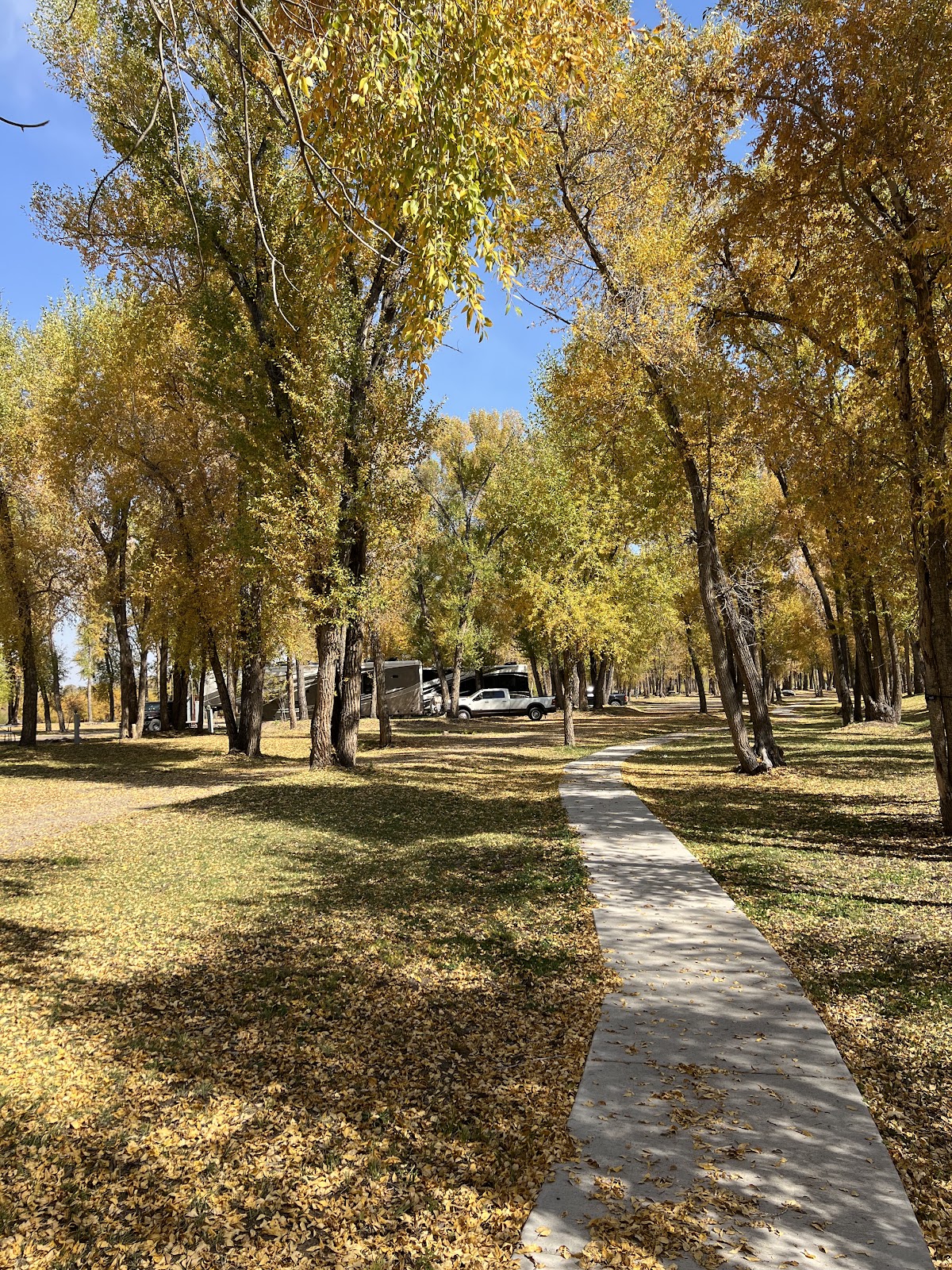 Woods and River RV Park