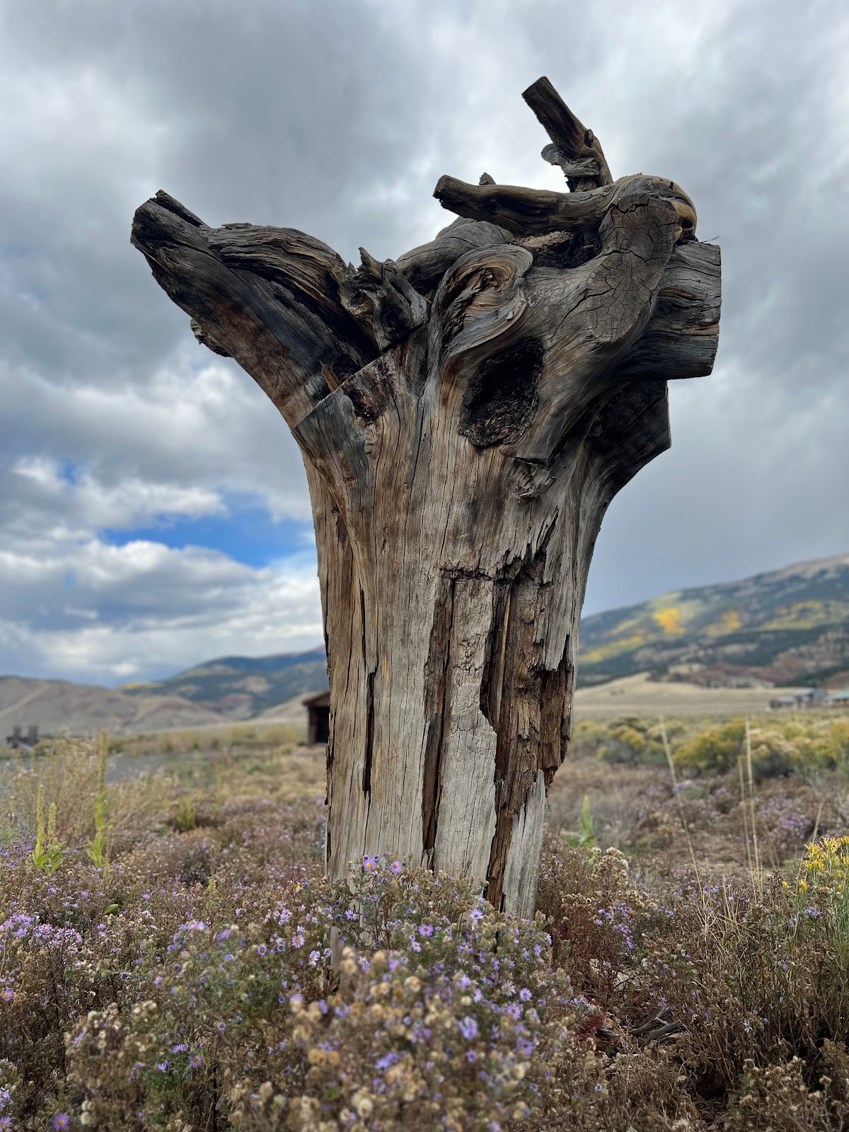 Angel Nest RV Retreat