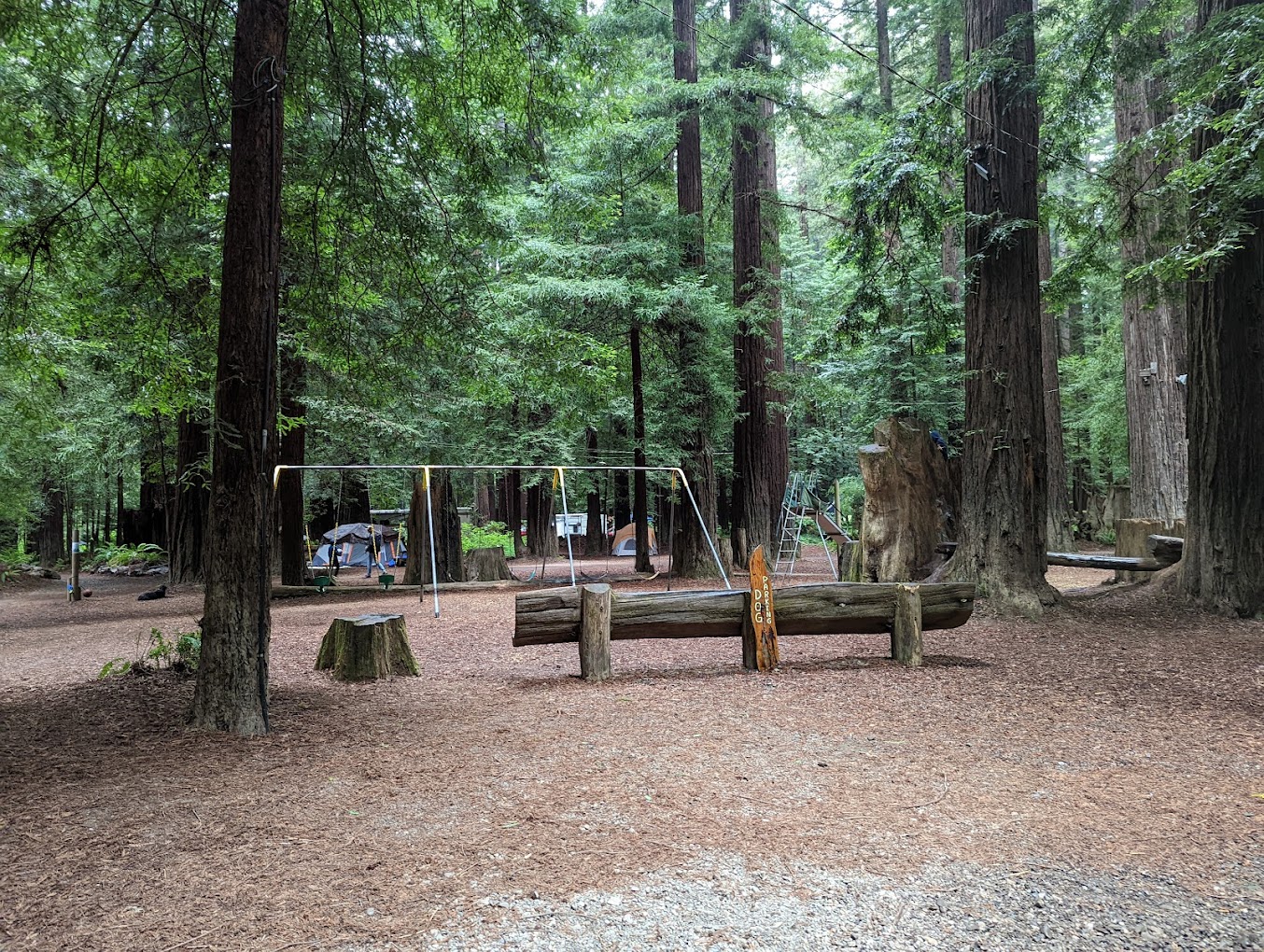 Gualala River Redwood Park