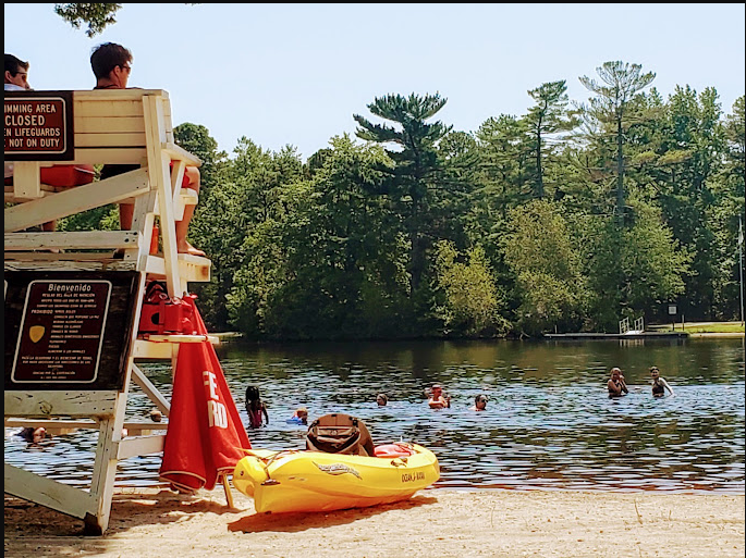 Belleplain State Forest