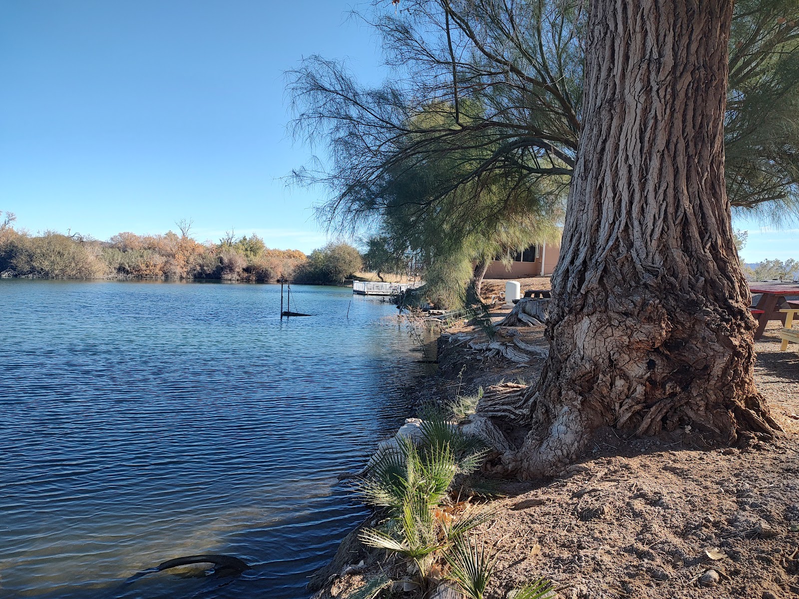 YUMA LAKES