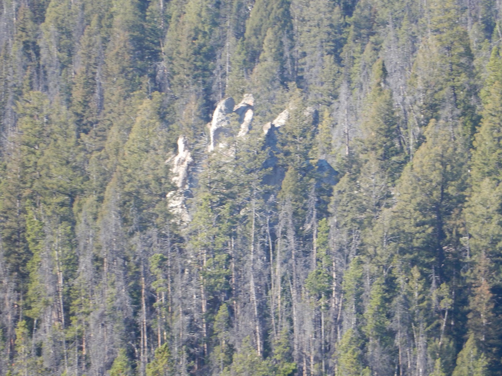 Whitehouse Campground