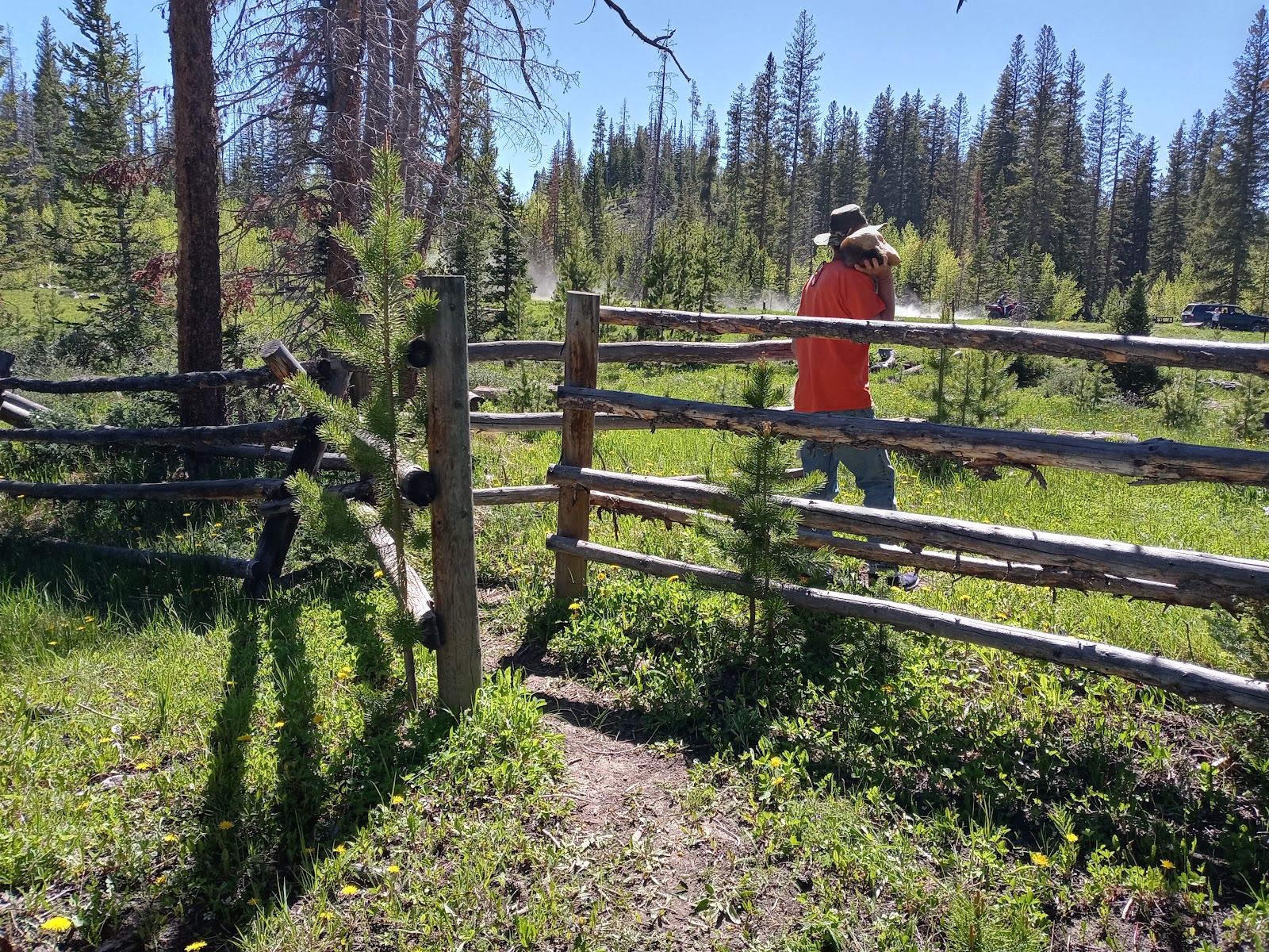 Jack Creek Campground