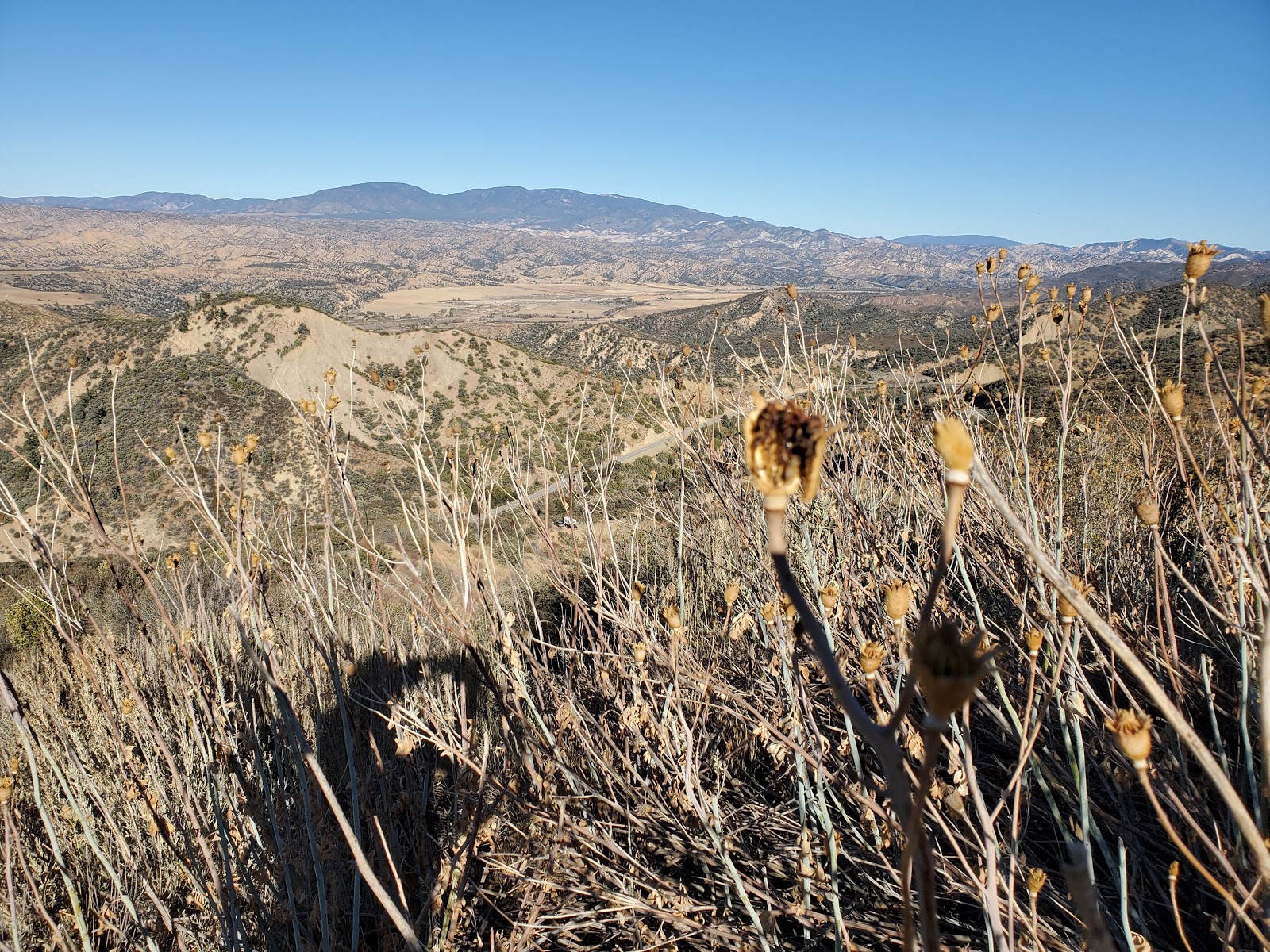 Pine Spring Campground