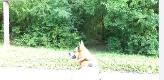 Big Foot Beach State Park