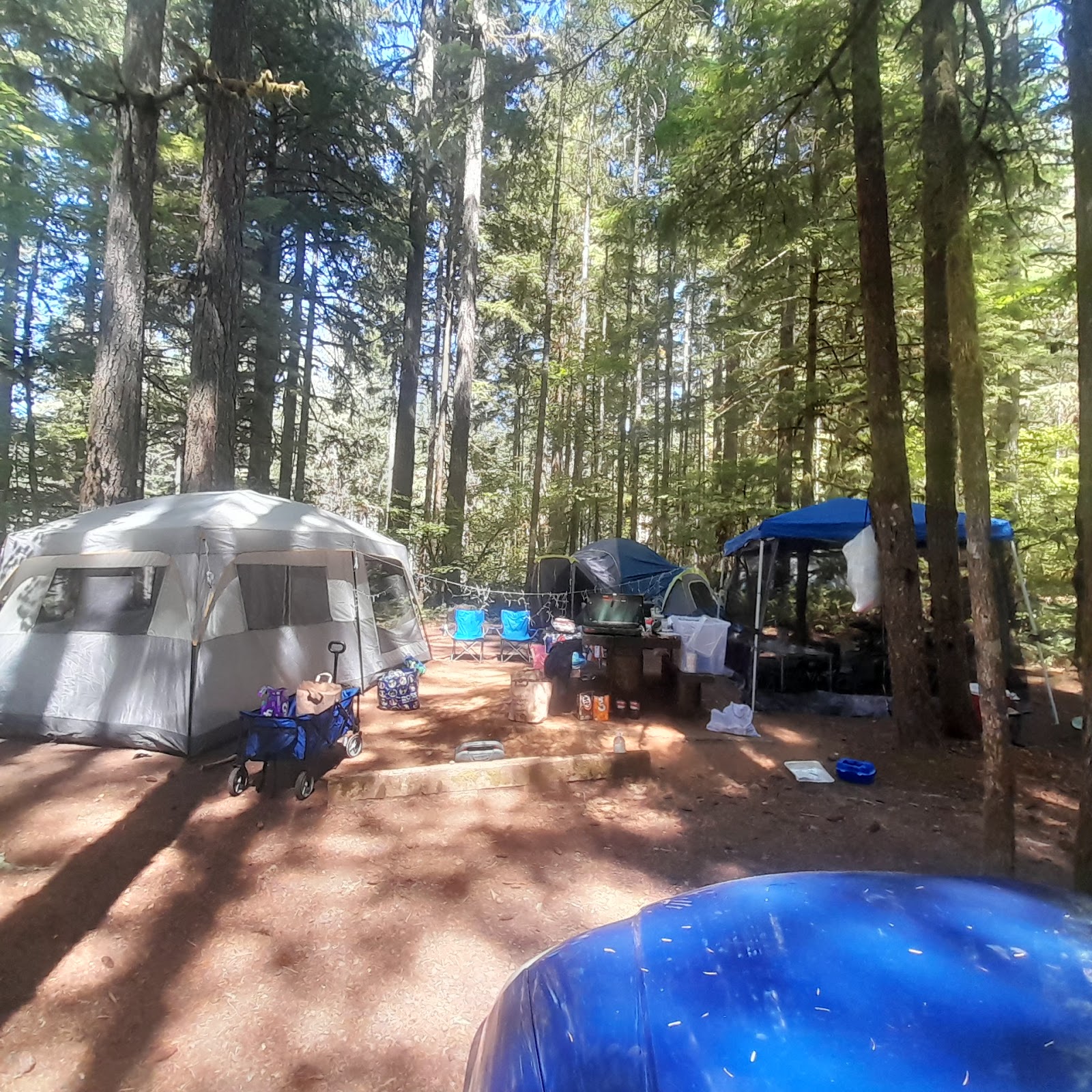Whitcomb Creek Campground