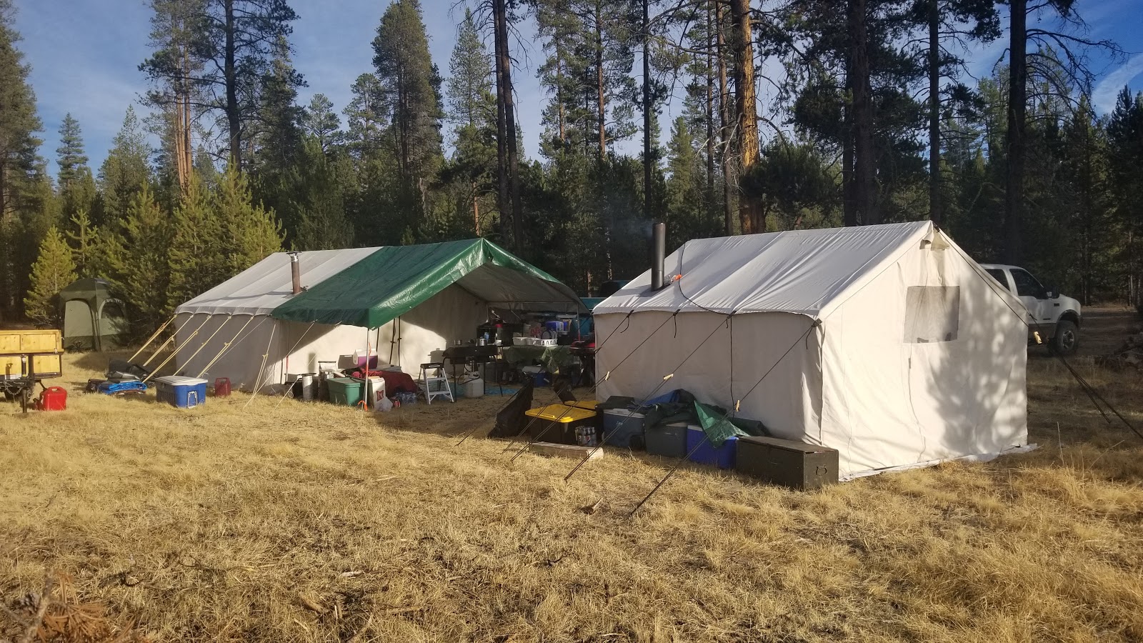 Head Of The River Forest Camp