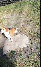 Tropic Breeze 55+ RV Resort