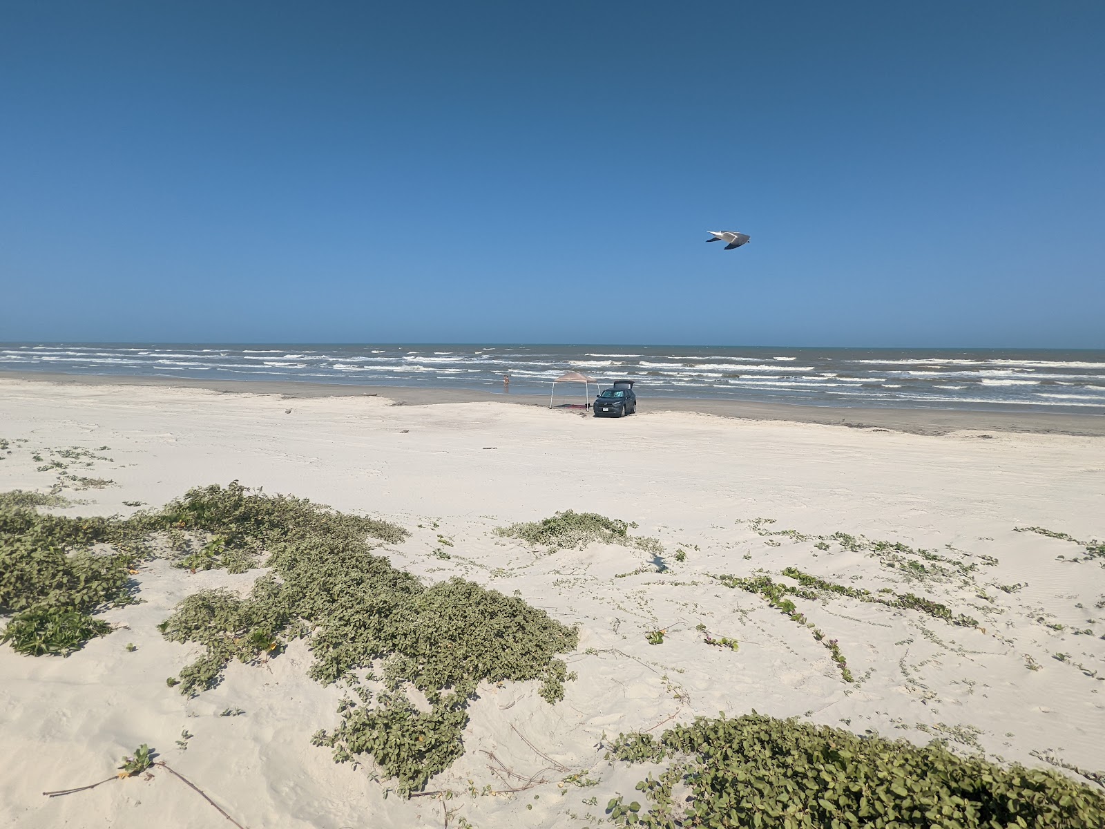 North Beach Campground - Padre Island National Seashore
