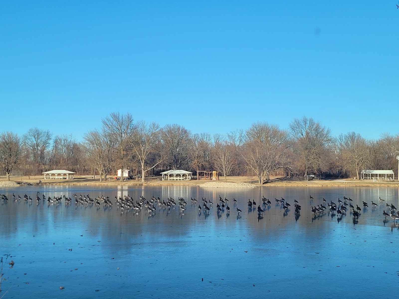 Farrington City Park