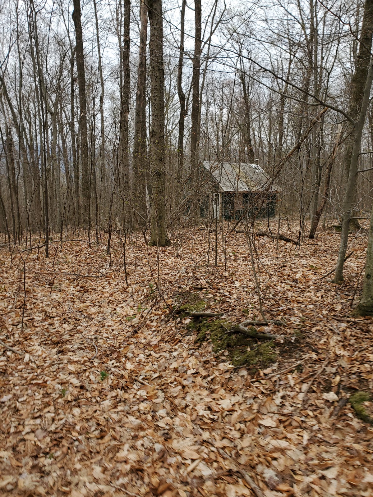 Douglas Trail Shelter
