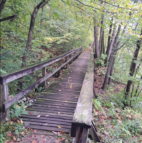 Bremer County Park Cedar Bend Park Camping