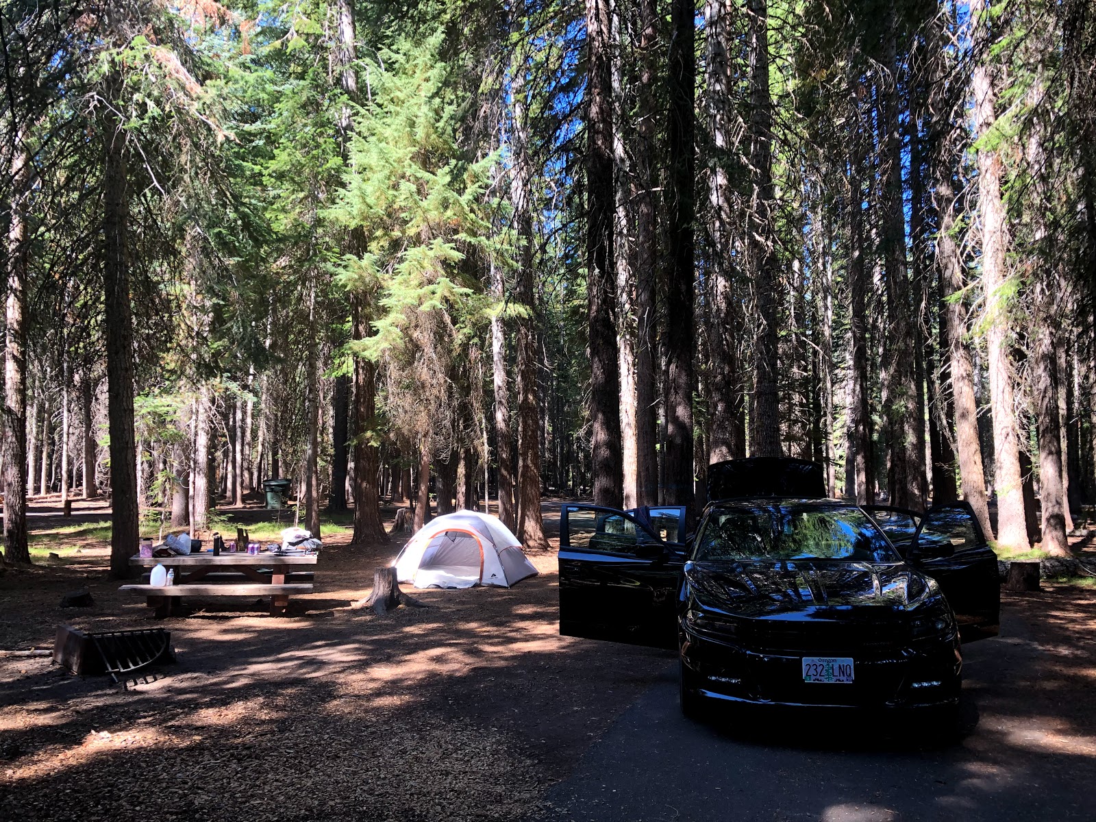 Thielsen View Campground