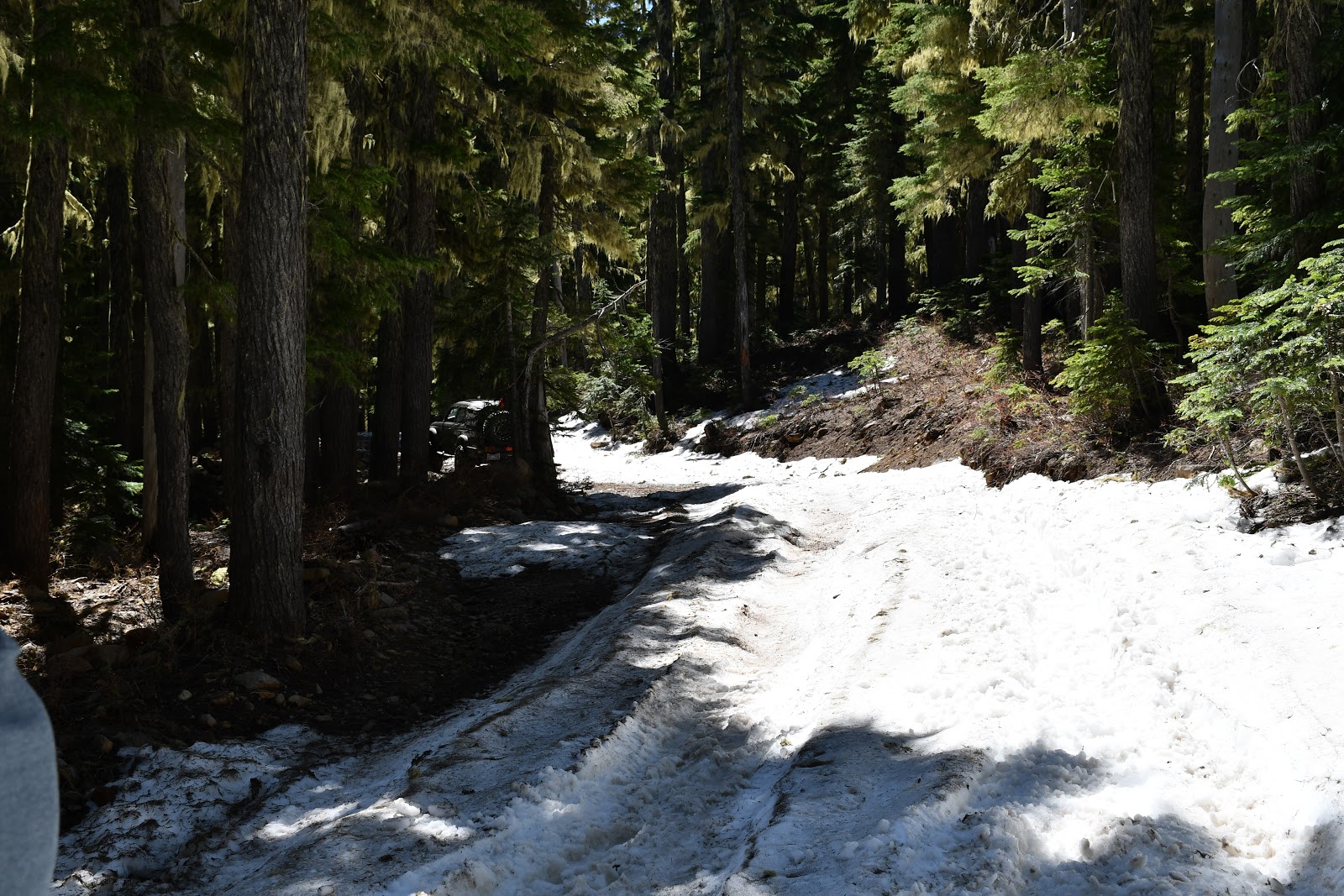 Horsehoe Lake Campground