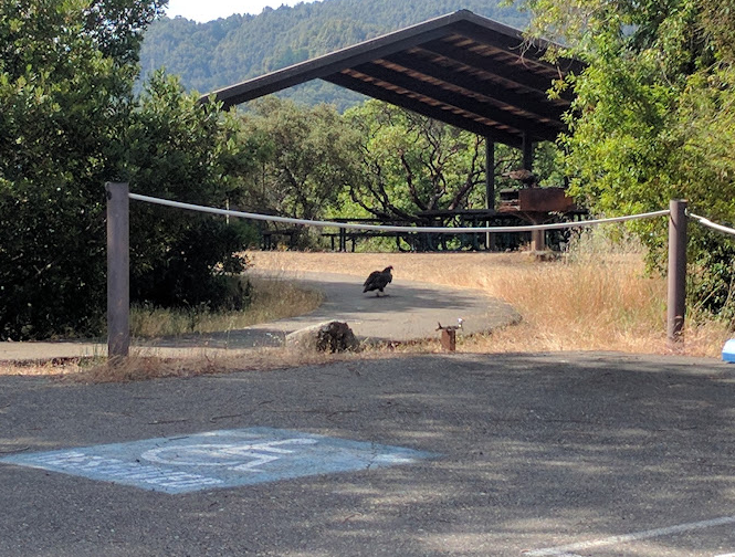 Liberty Glen Campground